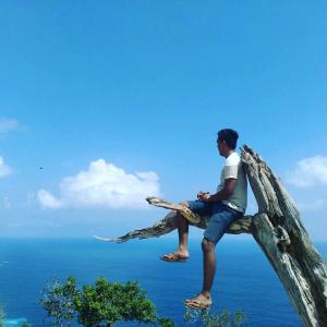 Pohon Cinta