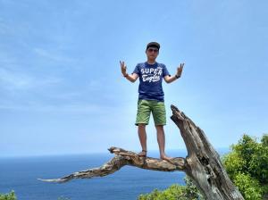 Pohon Cinta
