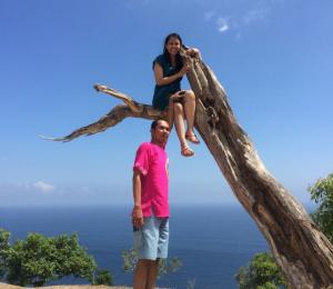 Pohon Cinta