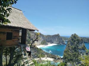 Rumah Pohon