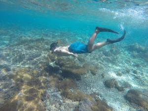 Snorkeling Moment