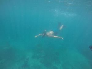 Snorkeling Moment